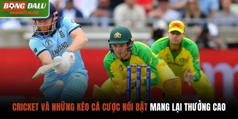 Cricket